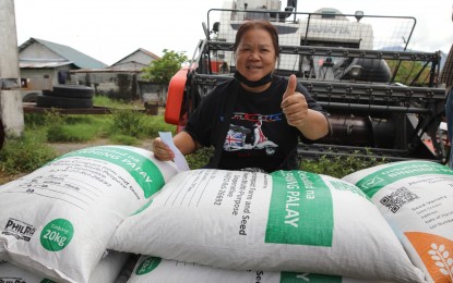 <p><strong>BINHI E-PADALA SYSTEM</strong>. A farmer in Pampanga province receives palay seeds under the Rice Competitiveness Enhancement Fund (RCEF) seed program through the Binhi e-Padala system in this undated photo. The Binhi e-Padala is a digital voucher system for faster and more convenient delivery of certified inbred seeds to farmers. <em>(File photo courtesy of RCEF Program)</em></p>