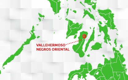 <p>Vallehermoso, Negros Oriental. <em>(PNA)</em></p>