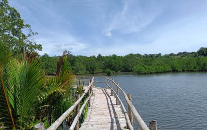 <p><strong>MANGROVE BOARDWALK</strong>. The 500-meter boardwalk at Barangay Siit in Siaton town, Negros Oriental province that reopened after the easing of pandemic restrictions. Efforts are picking up to restore it to its original state after it deteriorated during the almost three years of lockdown.<em> (Photo courtesy of Provincial Tourism Officer Myla Mae Abellana)</em></p>