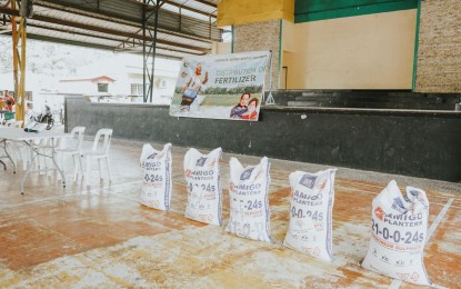 <p><strong>ASSISTANCE</strong>. Nearly 7,300 farmers in Pampanga province have so far received inorganic fertilizers from the Department of Agriculture in Central Luzon (DA-3), in partnership with the Office of the Provincial Agriculturist. The move aims to ensure food and agricultural security in the province. <em>(Photo courtesy of the provincial government of Pampanga)</em></p>