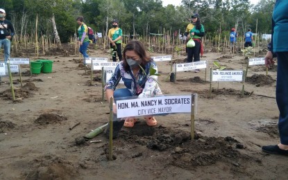 <p><strong>PLANTING WITH LOVE.</strong> Puerto Princesa City Vice Mayor Ma. Nancy Socrates plants a mangrove seedling during the ‘Love Affair with Nature’ celebration on Valentine's Day (Feb. 14, 2023). More than 7,000 mangrove seedlings were planted during the event, which was suspended for three years due to the Covid-19 pandemic.<em> (PNA photo by Gerald Ticke)</em></p>
