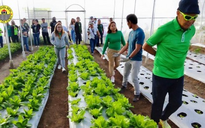 <p><strong>GREENING PROJECT.</strong> Mayor Michael Rama (right) inspects the Cebu City-run greenhouse at the commercial district of South Road Properties following the launching of the massive greening and beautification project “Kuyog Ta! Panindot Pahapsay sa Palibot" on Friday (Feb. 17, 2023). The project involves city-wide tree-planting activities, reforestation of upland villages, establishment of parks and playgrounds and conversion of open spaces into agricultural gardens to transform Cebu City into a green, smart and livable place.<em> (Photo courtesy of Cebu City PIO)</em></p>