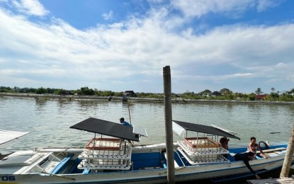 <p><strong>AQUAPONICS TECHNOLOGY</strong>. The Department of Science and Technology (DOST), through the Provincial Science and Technology Office of Bulacan (PSTO-Bulacan), provided one unit each of aquaponics technology system to two schools in coastal villages of Hagonoy, Bulacan. The move aimed to promote soilless agriculture in areas with non-arable soil to help sustain food supply. <em>(Photo courtesy of DOST-PSTO Bulacan)</em></p>