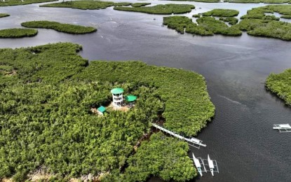 <p><strong>RECOGNITION</strong>. The 4,800-hectare Del Carmen Mangrove Reserve in Siargao, Surigao del Norte was recently recognized by the government as a Wetland of International Importance. The mangrove block is the habitat of rare and endangered species of flora and fauna including the endangered Crocodylus porosus or saltwater crocodile. <em>(Courtesy of Climate Change Commission)</em></p>