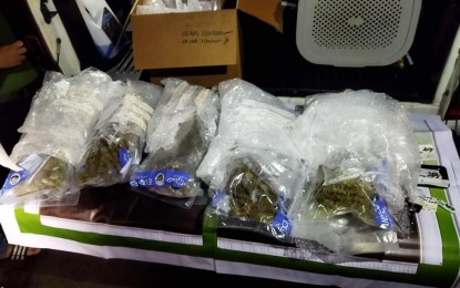 <p><strong>SEIZED.</strong> Some PHP3.7 million worth of kush or high-grade marijuana was seized from a male claimant during a controlled delivery operation at Crown Peak Gardens, Subic Bay Freeport Zone on Monday afternoon (Feb. 20, 2023). The package containing the illegal drugs came from Canada and arrived at the Port of Clark on Feb 19, 2023. <em>(Photo courtesy of the PDEA Region III)</em></p>