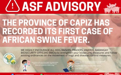 <p><strong>ASF POSITIVE</strong>. The province of Capiz records its first case of African swine fever (ASF) as announced by the Department of Agriculture (DA) on Thursday (Feb. 23, 2023). In an interview on Friday (Feb. 24), DA Western Visayas OIC-regional executive director, Engr. Jose Albert Barrogo, said there is a need to heighten public awareness about the animal disease.<em> (Photo courtesy of DA-Regional Agri-fishery Information Section)</em></p>