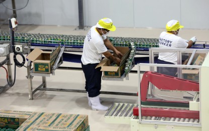 <p><strong>POSITIVE START</strong>. Workers repack canned sardines at a manufacturing plant in Sto. Tomas, Batangas on March 1, 2023. S&P Global Manufacturing Purchasing Managers' Index reported on Thursday (Feb. 1, 2024) that Philippine factories were off to a good start in 2024. <em>(PNA file photo by Joey Razon)</em></p>