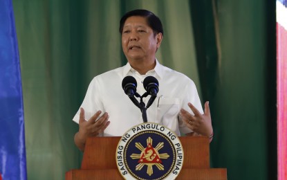 <p style="text-align: left;">President Ferdinand R. Marcos Jr. <em>(file photo) </em></p>