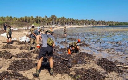 <p><strong>CLEANUP</strong>. A cleanup operation is being conducted in areas affected by the oil spill in the island municipality of Caluya in Antique province in this undated photo. The town is under a state of calamity as declared by its Sangguniang Bayan in a special session on Monday (March 6, 2023).<em> (Photo courtesy of CGDWV)</em></p>