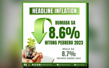 <p>(Infographic courtesy of Bongbong Marcos Facebook page) </p>