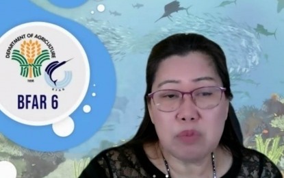 <p><strong>WATER SAMPLE</strong>. Bureau of Fisheries and Aquatic Resources (BFAR) Regional Director Remia Aparri, during a virtual press conference on Thursday (March 9, 2023), says they would subject to laboratory test water samples taken from areas affected by the oil spill in Caluya, Antique. Aparri said residents in oil spill-affected barangays are advised to refrain from eating fish and other marine products taken from affected areas as precautionary measures. <em>(PNA photo by Annabel Consuelo J. Petinglay)</em></p>