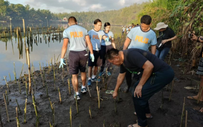 Ternate residents hail PNP for leading mangrove planting