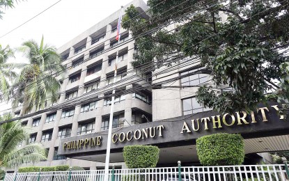 PBBM to grace nat’l coconut tree-planting on PCA’s 50th year