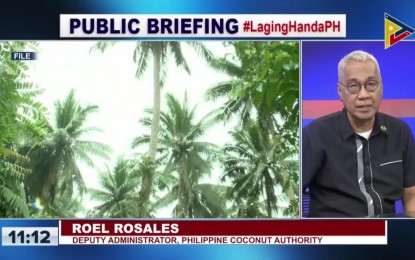<p><strong>BOOSTING COCONUT OUTPUT</strong>. Philippine Coconut Authority (PCA) administrator Roel Rosales joins the Laging Handa public briefing on Tuesday (March 14, 2023). Rosales said the PCA is intensifying its efforts to boost the country's coconut production through expansion and modernization programs. <em>(Screengrab)</em></p>