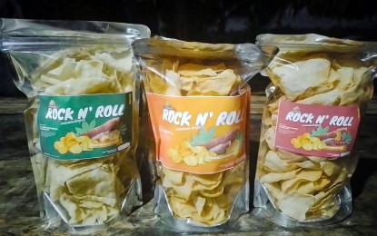 <p><strong>CASSAVA CHIPS</strong>. Cassava 'kropek' or chips in three flavors -- sour cream, cheese and barbecue. Its production in Bula, Camarines Sur is receiving a boost from the Department of Agrarian Reform and Department of Science and Technology in Bicol in the form of funds for the purchase of equipment. <em>(Photo courtesy of Sto. Niño Multi-Purpose Cooperative )</em></p>