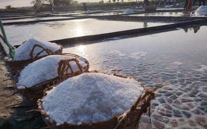 <p><strong>ASIN</strong>. Farmers harvest salt at a salt farm in Dasol town in Pangasinan on March 9, 2023. Workers gather three to five baskets of salt in each salt bed daily, except during the rainy season when salt farming is halted. <em>(PNA photo by Hilda Austria)</em></p>