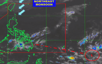 <p>Screengrab from DOST/PAGASA website</p>