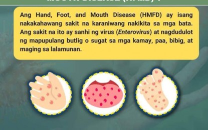 <p><strong>FIGHTING HFMD.</strong> Borongan City government in Eastern Samar releases information material to raise public awareness on hand, foot and mouth disease. The Department of Agriculture (DA) said Monday (March 20, 2023) the HFMD outbreak in Eastern Samar is human-related and will not affect the animal industry in the region. <em>(Photo courtesy of Borongan City government)</em></p>