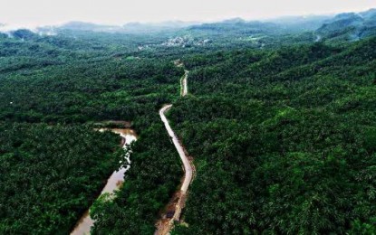 <p><strong>CLASH SITE</strong>. A view of rural communities in Silvino Lubos town, Northern Samar province near the site of an encounter between soldiers and rebels. A New People’s Army (NPA) rebel and an army scout ranger died in a clash on Monday (March 20, 2023). <em>(Photo courtesy of Silvino Lubos Spotted)</em></p>