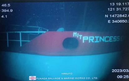 <p>Sunken MT Princess Empress <em>(File photo)</em></p>