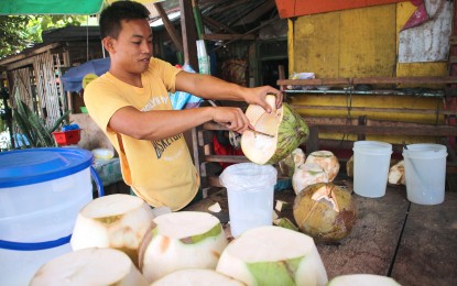 Central Visayas towns get processors for copra, virgin coconut oil