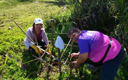 <p><strong>TREE REPLACEMENT</strong>. Department of Public Works and Highways (DPWH) officials in Eastern Samar join a tree planting activity on Wednesday (March 29, 2023). The DPWH is planting 315,100 trees to replace those trees cut to pave the way for the slope protection rockfall netting project in Eastern Samar. <em>(Photo courtesy of DPWH)</em></p>