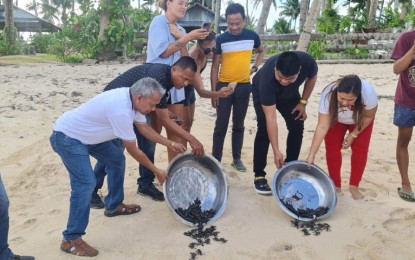 <p><strong>BACK TO THE SEA.</strong> Environment officials release some 132 baby Hawksbill turtles to their natural habitat in Sitio Paasaw, Barangay Sta. Fe, Gen. Luna, Surigao del Norte on Wednesday (March 29, 2023). The local government is working to declare Sitio Paasaw, a 3,558 square-meter islet, as a protected area for sea turtles. <em>(Photo courtesy of Mayor Sol Matugas)</em></p>