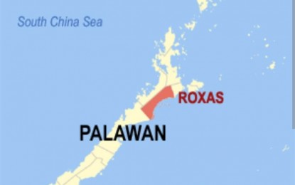 <p>Google map of Roxas town in Palawan province.</p>