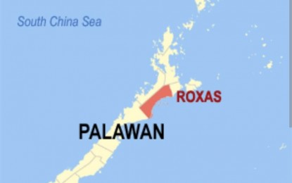 <p><em>(Google map of Roxas town in Palawan province)</em></p>
<p> </p>