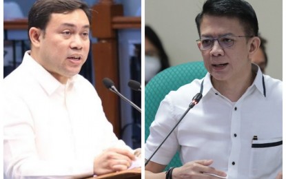 <p>Senators Mark Villar (left) and Chiz Escudero <em>(File photo) </em></p>