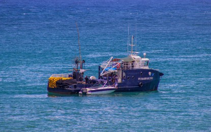 <p><strong>MORE CATCH.</strong> The new fishing vessel turned over by the Bureau of Fisheries and Aquatic Resources (BFAR) to members of Northern Samar Pacific Towns Fishermen’s Cooperative. The vessel, officially turned over on Wednesday (April 5, 2023), is designed to catch more tuna in the Pacific Ocean. <em>(Photo courtesy of BFAR)</em></p>