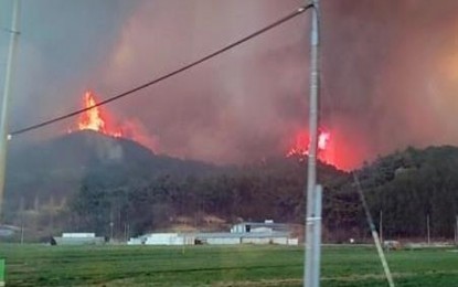 Wildfires force evacuations in SoKor, leaving 1 dead, many hurt