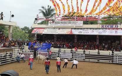 <p><strong>CHALLENGE ACCEPTED.</strong> Female players from Xavier University give their best on Tuesday (April 11, 2023) to hold on and tie the bull during the casting down challenge as one of the events of the 27th Rodeo Festival of Masbate province. The festival aims to encourage more tourists to visit the province and promote it to become the country’s top beef producer.<em> (Photo by Connie Calipay)</em></p>