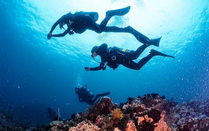 <p><strong>DIVING WONDER.</strong> Divers marvel at the colorful corals under the sea off the coast of Puerto Galera, Oriental Mindoro in this undated photo. With four nominations under its belt this year, the Philippines is defending its back-to-back titles as the World’s Leading Beach Destination and World’s Leading Dive Destination at the prestigious World Travel Awards, dubbed as the Oscars of the travel industry. <em>(Photo courtesy of DOT)</em></p>