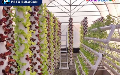 <p><strong>HYDROPONICS TECHNOLOGY</strong>. A vertical hydroponics system. The Department of Science and Technology (DOST) has recently provided hydroponics with greenhouse to seven identified beneficiaries in Bulacan province to help boost the production of herbal plants and other vegetable crops. <em>(Photo courtesy of DOST-PSTO-Bulacan)</em></p>