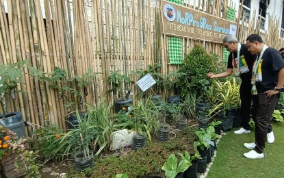 <p><strong>GARDEN SHOW</strong>. Iloilo Governor Arthur Defensor Jr. views some of the gardens joining the ongoing MoRProGRes Gardens Show at the provincial capitol complex as part of the celebration of the 122nd Semana sang Iloilo that opened on Tuesday (April 11, 2023). Defensor officially launched MorProGRess Iloilo (Movement for a Robust, Progressive and Globally competitive and Resilient Province of Iloilo) to highlight the celebration that runs from April 11 to April 14, 2023. <em>(PNA photo by PGLena)</em></p>