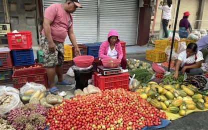 <p><strong>INFLATION</strong>. Vendors display their products at the Laoag open market in this undated photo. According to the PSA, inflation rate in Ilocos Norte went down by 0.7 in March compared to February 2013. <em>(File photo by Leilanie Adriano)</em></p>