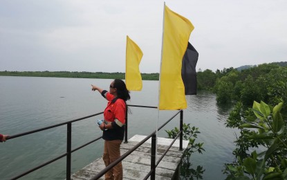 <p><strong>COASTAL PROTECTION.</strong> Lovella Cariaga, Filminera Resources Corporation environmental manager, points to the area where mangrove propagules were planted in Aroroy, Masbate on Thursday (April 13, 2023). Some 1.68 million were already planted in the coastal areas of the town since 2014 as part of the Masbate Gold Project's Environmental Protection and Enhancement Program. <em>(Photo by Connie Calipay)</em></p>