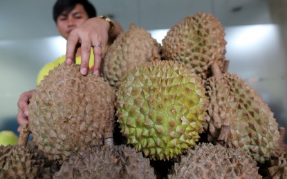 <p><strong>GROWING DEMAND.</strong> Durian fruit on sale at the high-value crops week at the Department of Agrarian Reform in Quezon City on April 17, 2023. The Durian Industry Association of Davao City is eyeing the expansion of durian farms to cater to the growing demand of the Chinese market.<em> (File PNA photo by Joan Bondoc)</em></p>