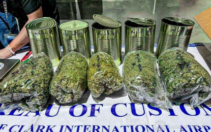 <p>Kush Marijuana <em>(Photo from BOC-Port of Clark) </em></p>