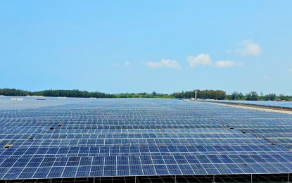 <p><strong>SOLAR FARM</strong>. The 83.3-MW Currimao-2 solar project is inaugurated on March 30, 2023 in Currimao town, Ilocos Norte province. The project covers around 24 hectares of forestland. <em>(Photo by Leilanie Adriano)</em></p>