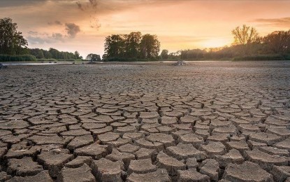 Negative trend in climate change to continue till 2060s: WMO