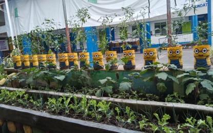 <p><strong>WINNING GARDEN</strong>. The Bakhaw Integrated School is named the Best in Container Gardening by the Iloilo City Government through the City Agriculturist Office and the City Disaster Risk Reduction and Management Office on Monday (April 25, 2023). The local government on Tuesday encouraged households to make container gardens as source of fresh produce that they could use, especially in times of calamities. <em>(Photo courtesy of Mae Salomon Alminaza FB)</em></p>