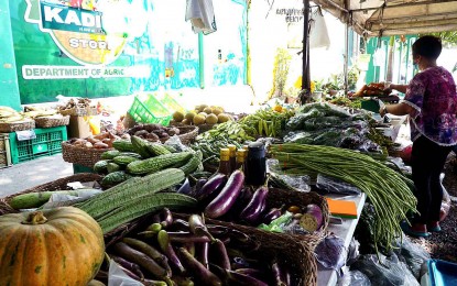DA helps farmers sell 160 tons of highland vegetables in January