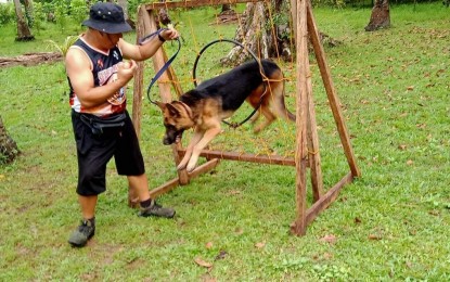 <p><strong>AGILITY TRAINING.</strong> Toby, a German shepherd, and his owner/handler Gerry Orosco, are shown during a training on Thursday (April 27, 2023) in Bacacay, Albay. The training is being conducted by the Philippine Coast Guard Auxiliary for 11 hybrid dogs to hone their skills for search and rescue and sniffing of bombs and other explosives as force multipliers. <em>(Photo by Emmanuel Solis)</em></p>
