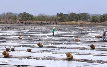 <p><strong>INDUSTRY BOOST.</strong> Workers harvest salt at Borlongan Aqua Salt Farm in Barangay Banog Norte, Bani, Pangasinan in this photo taken April 29, 2023. The Department of Agriculture on Monday (March 18, 2024) said the passage of Republic Act 11985 or the Philippine Salt Industry Development Act will boost local production and income of salt farmers. <em>(PNA photo by Joey O. Razon)</em></p>