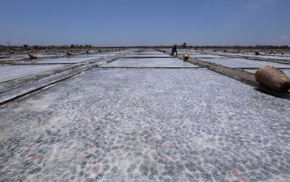 <p><strong>SALT FARM</strong>. A photo taken on April 29, 2023 shows the salt farm in Barangay Banog Norte, Bani, Pangasinan. Bicol Saro Party-list Rep. Brian Raymund Yamsuan on Tuesday (Dec. 19) said the Philippines would be "self-sufficient" under the proposed Philippine Salt Industry Development Act which was already ratified by both houses of Congress.<em> (PNA photo by Joey O. Razon)</em></p>