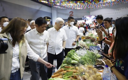 Experts say farmers in favor of PBBM’s role as agri chief