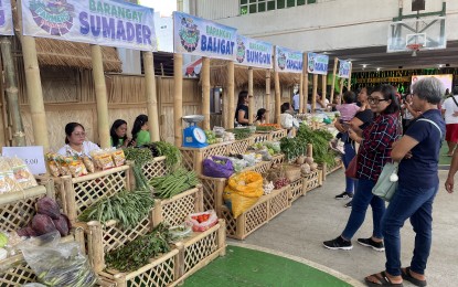 Batac marks Labor Day with farmers’ festival