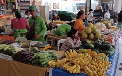 <p><strong>KADIWA.</strong> Products of farmers and micro, small and medium enterprises (MSMEs) that are being assisted by the government are on display at the Labor Day Kadiwa ng Pangulo Para sa Manggagawa Program at the Robinsons Place Iloilo on Monday. Kadiwa helps farmers sell their produce at fair price, support MSMEs by linking them to bigger markets, and help vulnerable sectors by providing them with essential goods and services. <em>(PNA photo courtesy of DOLE 6 FB page)</em></p>
<p> </p>